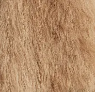 Ada Shearling Coat in Natural